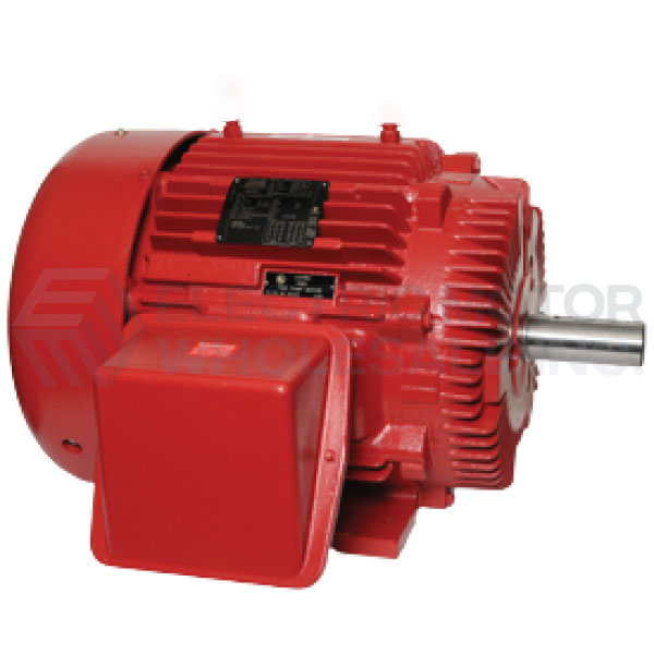 TEFC Firepump5.jpg